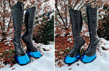 Blue Chrome Hoof Boots