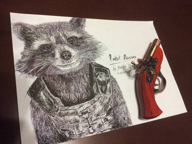 Rocket Raccoon