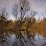 eerie lakeside  greets