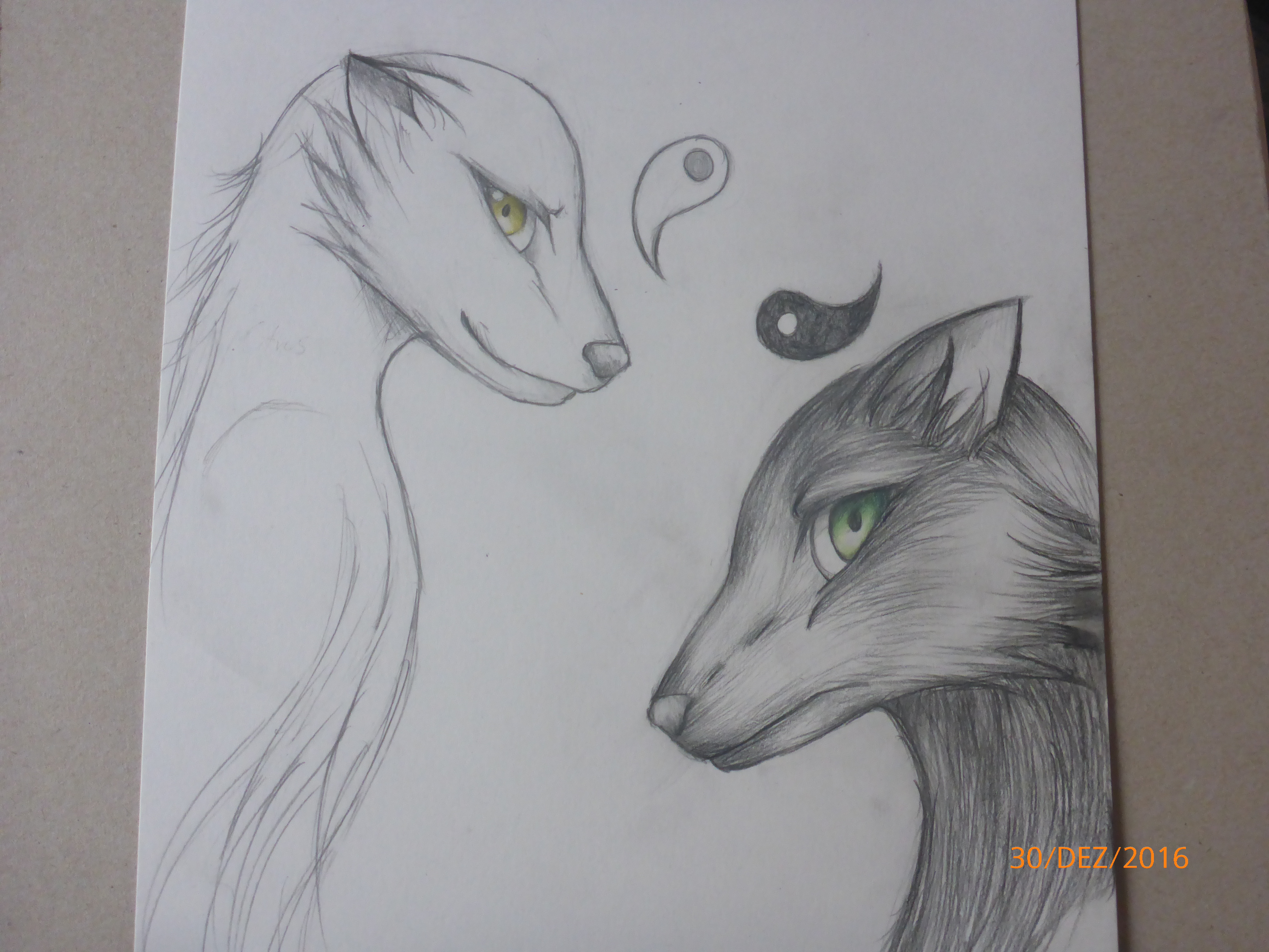 Ying-Yang wolf sisters