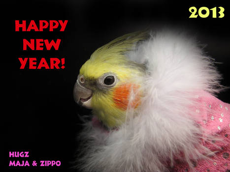 Happy new year! 2013!