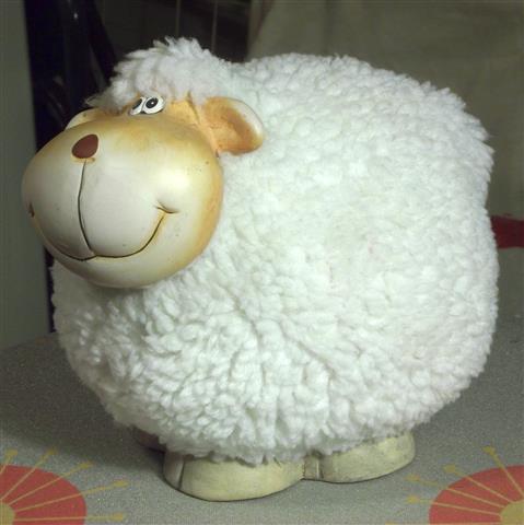 Sheep