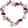 Flower Frame png