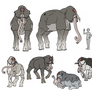 Gadji Body and Colour Variations