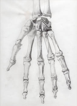 Skeletal Hand