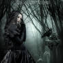 The beauty  gothic moonlight