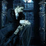 Vampire Romance
