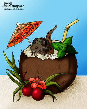 Coconut Lizard