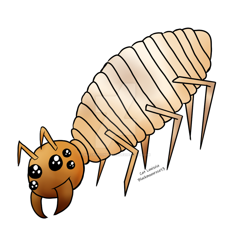 Termite by Blackmoonrose13 on DeviantArt