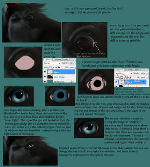 Eye Tutorial