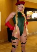 ALA 2014: Cammy White