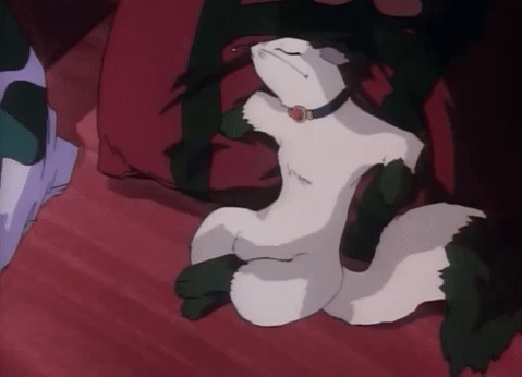 Get Https Encrypted Tbn0 Gstatic Com Images Q Tbn 3aand9gcswkep4t Fevmi7wfmflg7ivyxndcp3pjzzjg Usqp Cau For Android Free Wallpaper Https Encrypted Tbn0 Gstatic Com Images Q Tbn 3aand9gcswkep4t Fevmi7wfmflg7ivyxndcp3pjzzjg Usqp Cau For Free