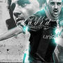 David Villa