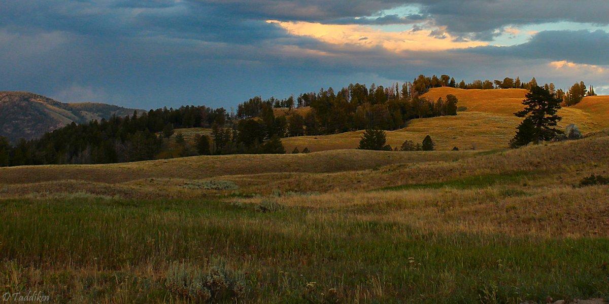 Yellowstone Landscape