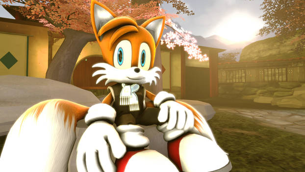 Tails - Sitting in the Garden (SFM)