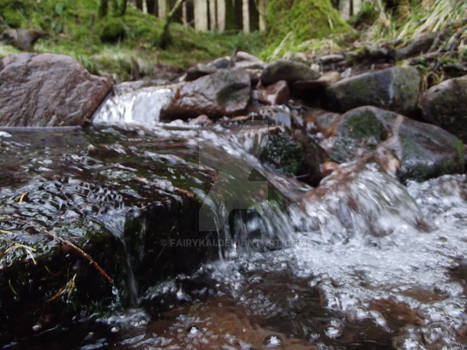 Water Steps