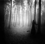 Damned wood by magdakrawczynska