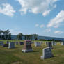 Cemetery Scenery