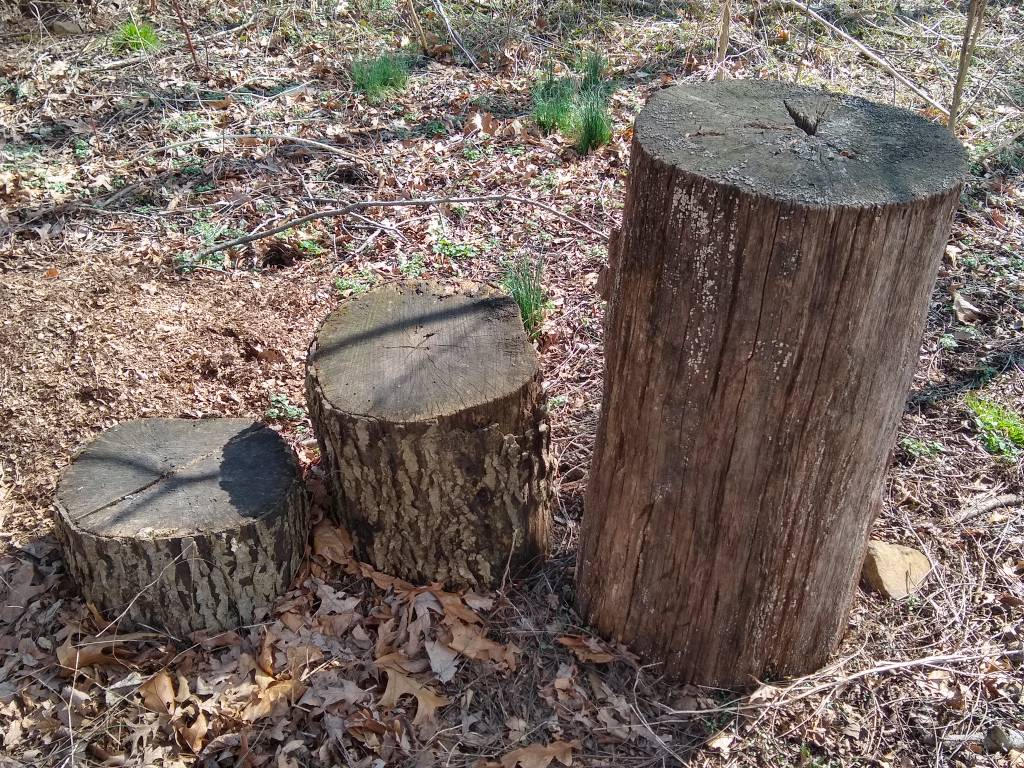 Stumpy Stairs by kdawg7736 on DeviantArt