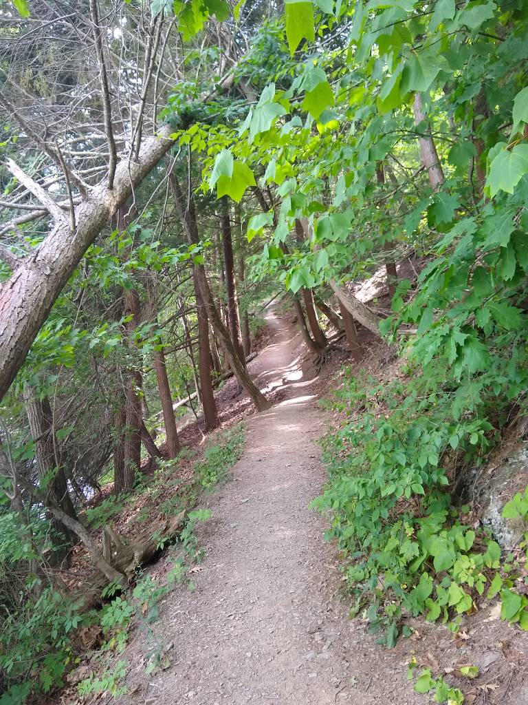 Twisted Trail by kdawg7736 on DeviantArt