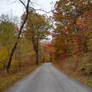 Rural Wooded Path