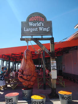 World's Largest Chicken Wing