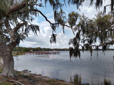 Dock At The Lake