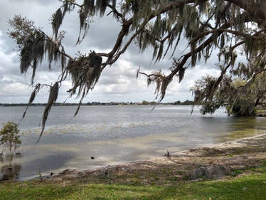 Winter Haven Lake Scene