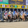 Start Of The Race