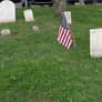 Plenty Of Green By The Grave