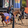 The Joust