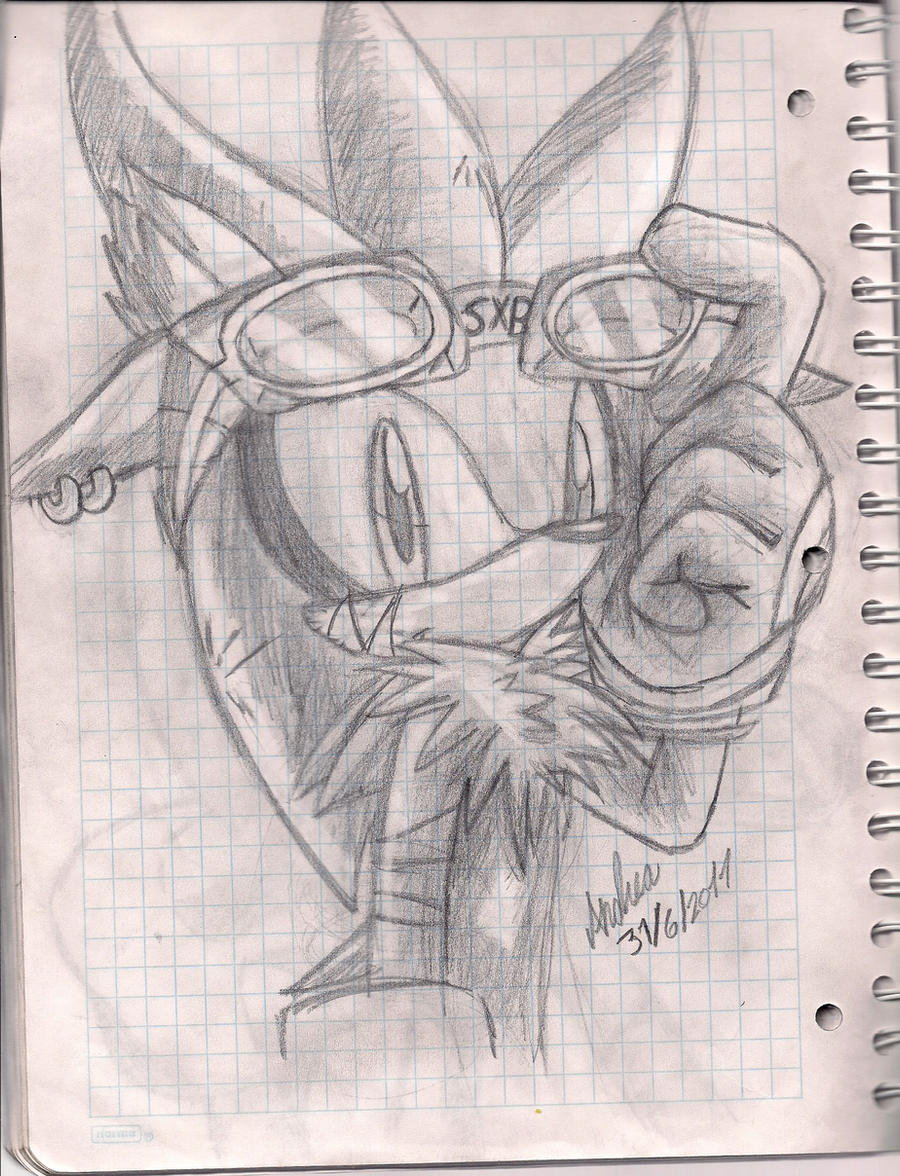 Silver Rider Backround Silver Rider by andreahedgehog on DeviantArt