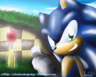 Sonic 3D try