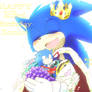 Happy 23rd Birthday, Sonic!