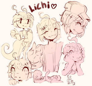 Lichi sketches~