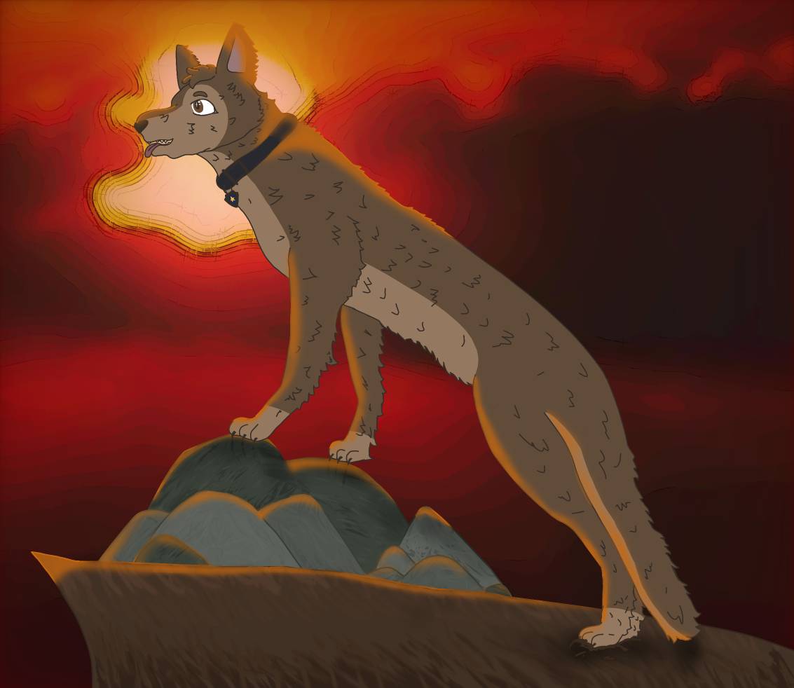 Paw patrol Chase fanart by CatFromPoland on DeviantArt