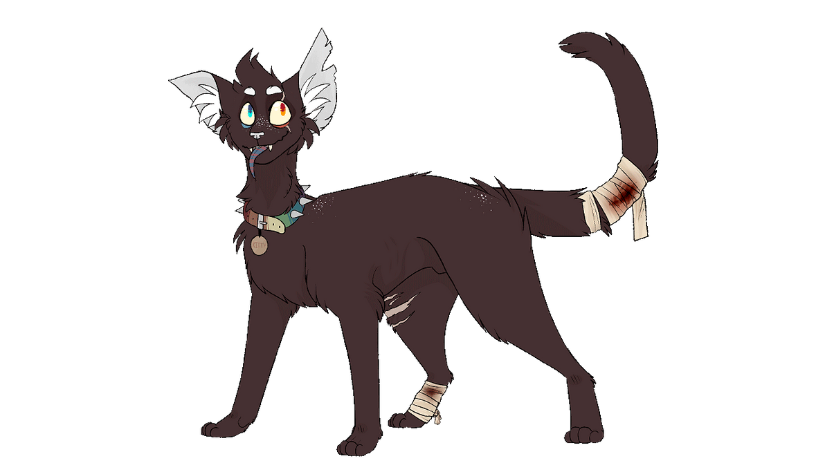 Animated Kitty || commission by Fotonodactil on DeviantArt
