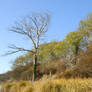 Autumn at Fehmarn 5