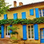 maison avec des fenetres bleue