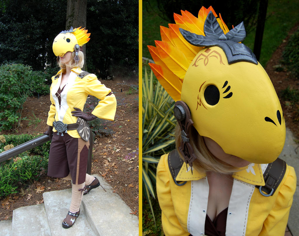 The Chief Chocobo Enthusiast