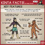 Kinta Facts 1: Key Features