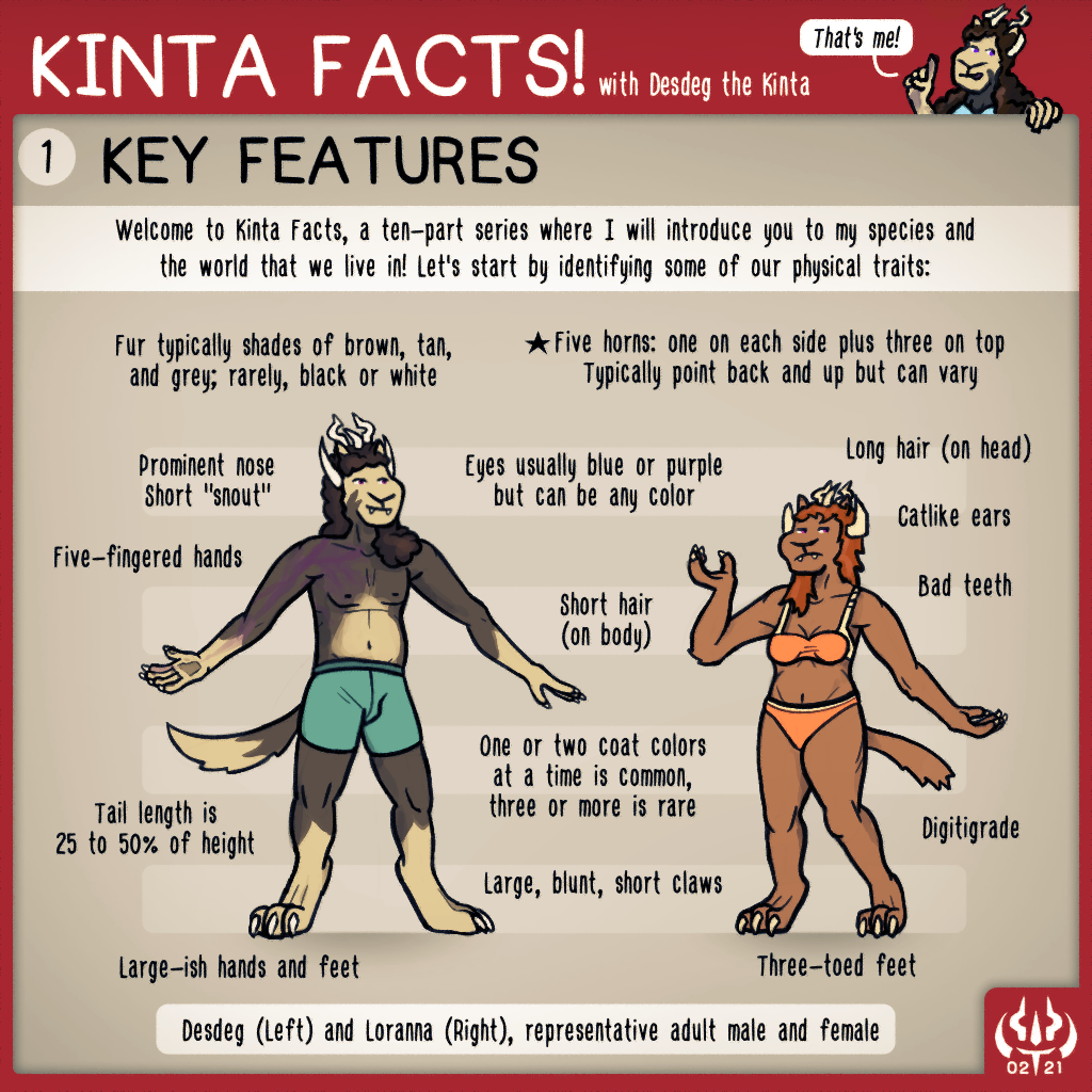 Kinta Facts 1: Key Features
