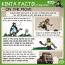 Kinta Facts 4: On The Move