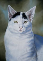 Buttons the Cat - Pastel Drawing
