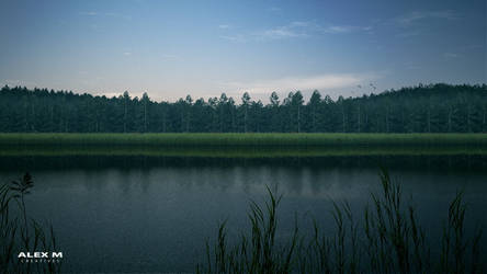 Pond View