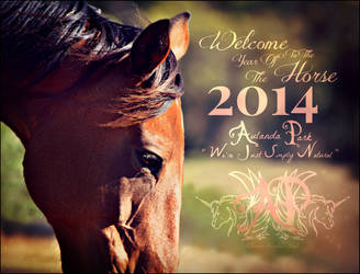 Happy New Year the Year Of the Horse