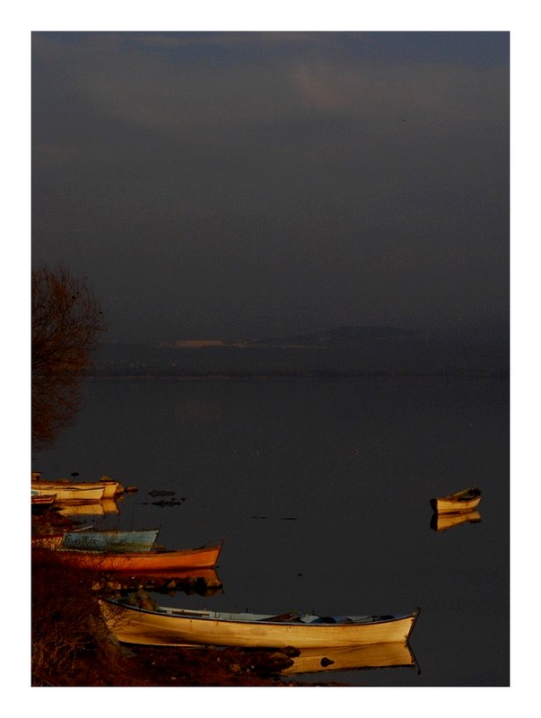 Boats in the evening