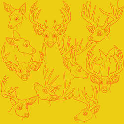Deer Stylization Practice 2