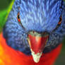 Parrot Pose2