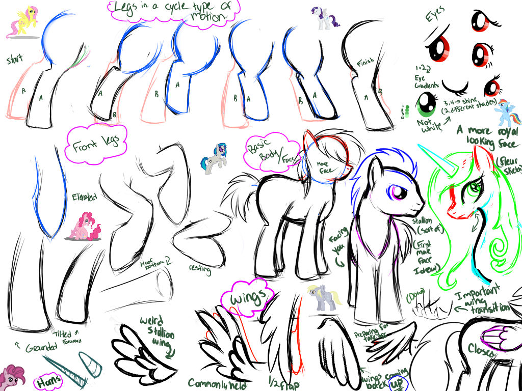 Pony рисовать. Анатомия пони для рисования. Пони рисунок. Анатомия по рисованию пони. Рефы для рисования пони.